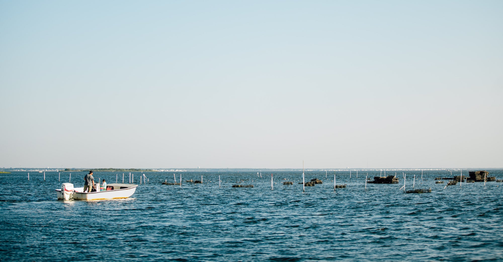 Jetty Rock Foundation