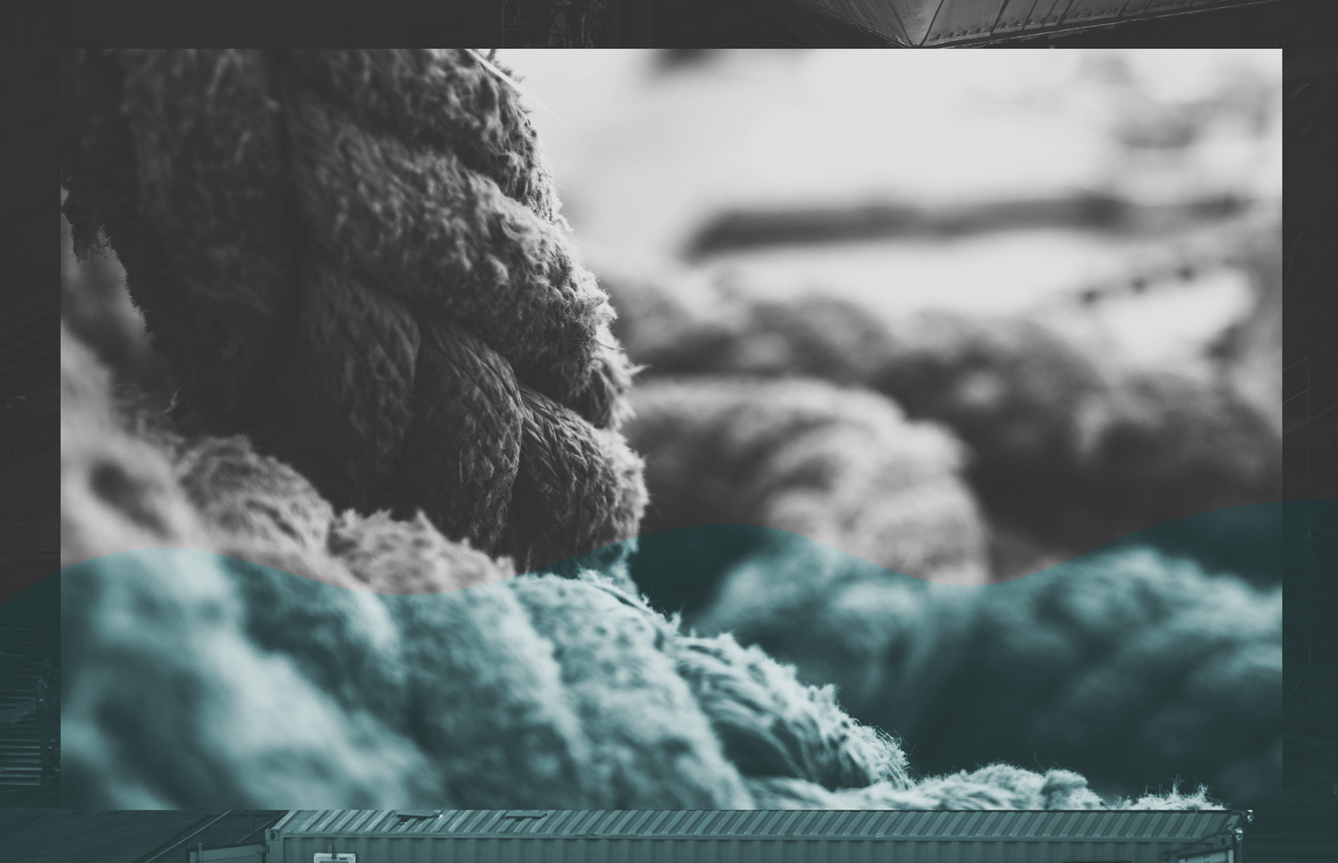 Jetty Rock Foundation