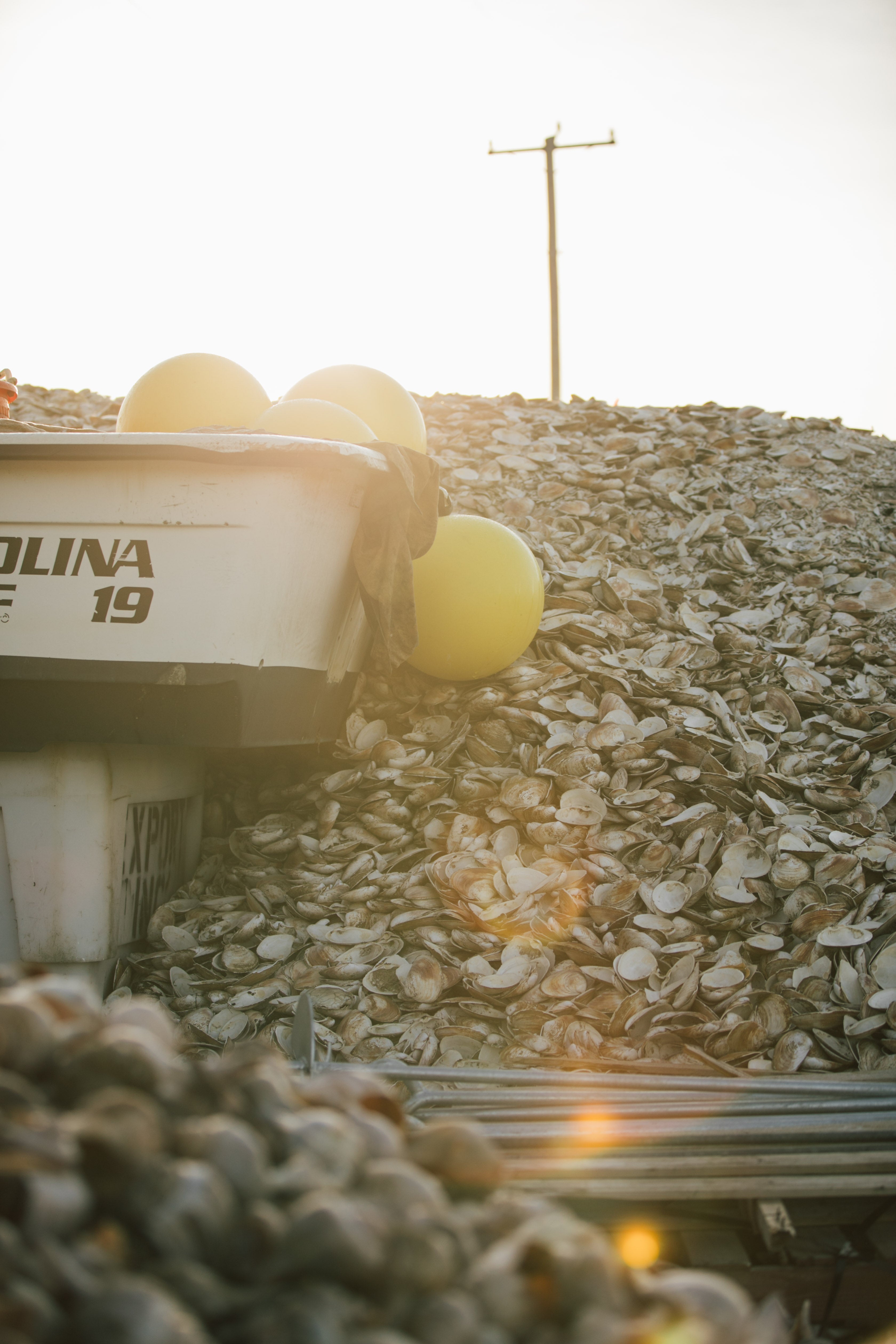 Shell Recycling – Jetty Rock Foundation