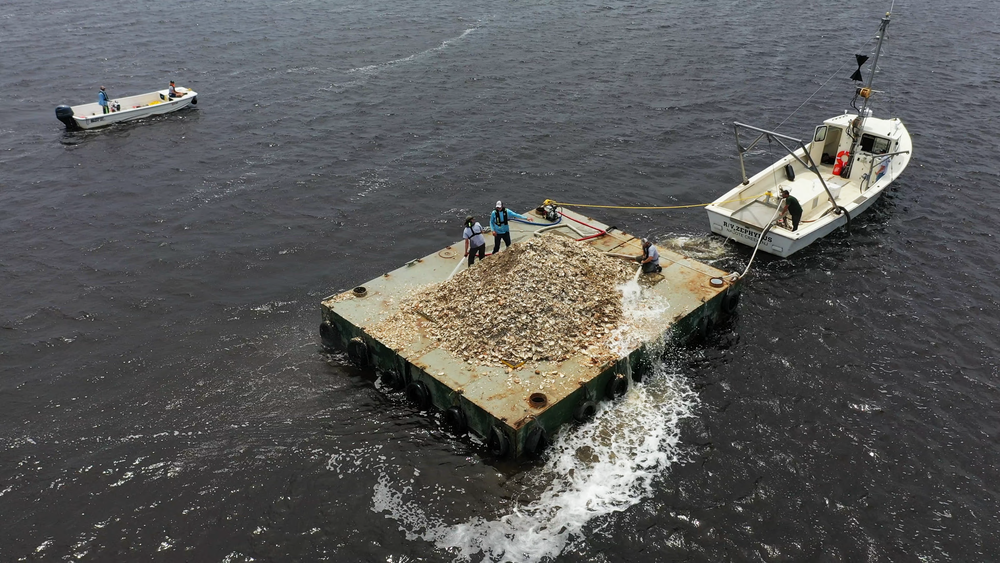 Atlantic City Shell Recycling Program