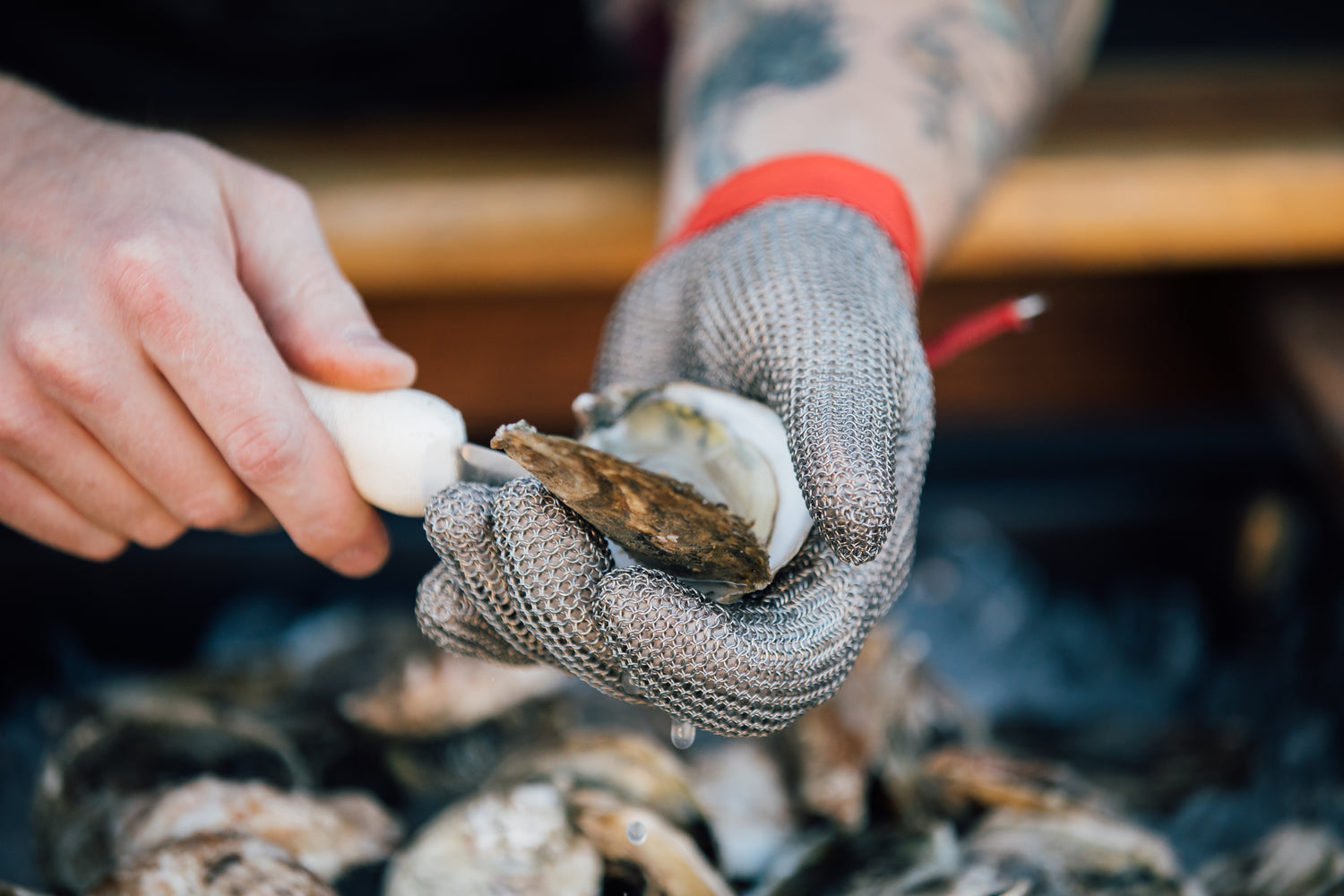 In Shuck Learn to Shuck – Jetty Rock Foundation